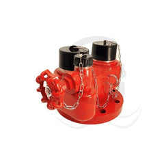 2 Way Fire Brigade Inlet Connection