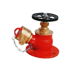 Fire Landing Valve