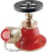 Fire Landing Valve