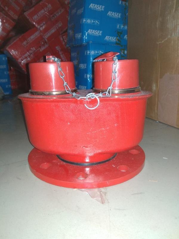 2 Way Fire Brigade Inlet Connection
