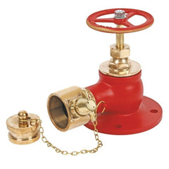 Fire Hydrant Valve